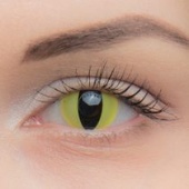 Жёлтые "Кошачьи"