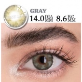 Butterfly Grey Butterfly Grey