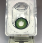 Manson Forest Manson Forest